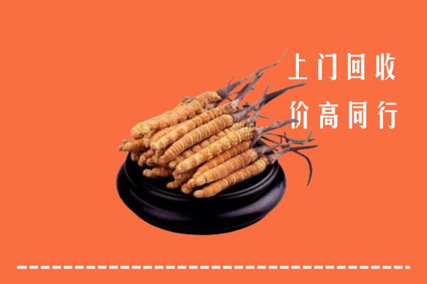 高价求购：乳山市回收散虫草