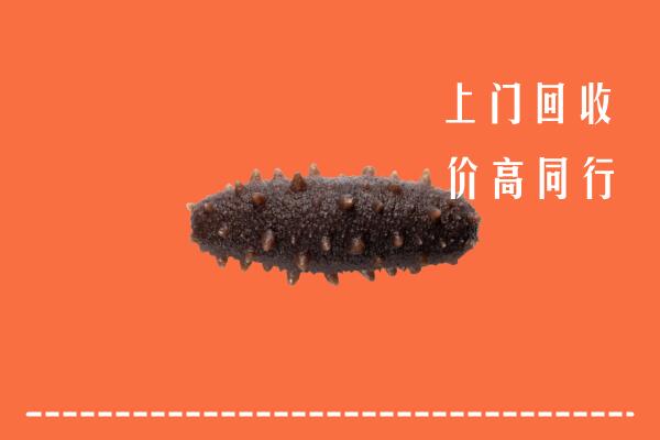高价求购：乳山市回收海参