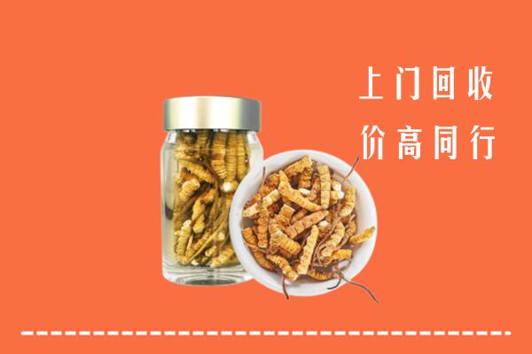 乳山市回收冬虫夏草